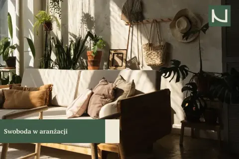Przytulny salon w stylu boho z dużą ilością roślin, plecionymi dodatkami i miękkimi poduszkami. Słońce tworzy na ścianie ciekawe cienie.